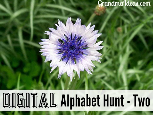 A digital alphabet hunt is a great activity for tweens and teens and adults!