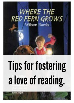 Here are 12 tips to help foster the love of reading in your children.