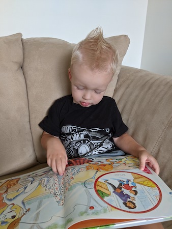 My grandson reading the book.